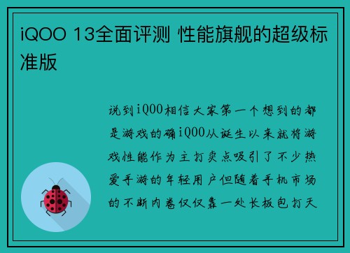 iQOO 13全面评测 性能旗舰的超级标准版