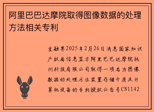 阿里巴巴达摩院取得图像数据的处理方法相关专利