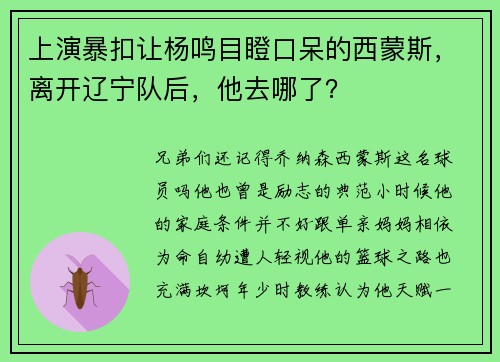 上演暴扣让杨鸣目瞪口呆的西蒙斯，离开辽宁队后，他去哪了？